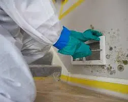 Mold Remediation